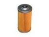 AGCO 167210521100 Fuel filter